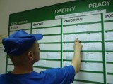 Aktualne oferty pracy w Powiatowym Urzędzie Pracy w Łodzi. Kogo szukają do pracy w Łodzi?