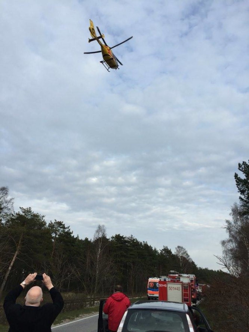 Na Półwyspie Helskim między Władysławowem i Chałupami doszło...