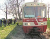 Linia kolei wąskotorowej Nowy Dwór Gdański - Ostaszewo do likwidacji