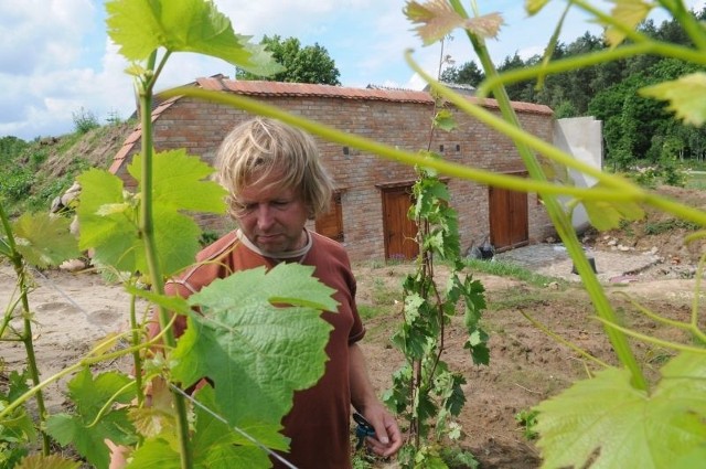 Winnica "Miłosz&#8221; w Łazie. Krzysztof Fedorowicz wraz z Martą Pohreby, jako pierwsi w regionie właśnie w tym roku zbudowali piwnicę winiarską z prawdziwego zdarzenia