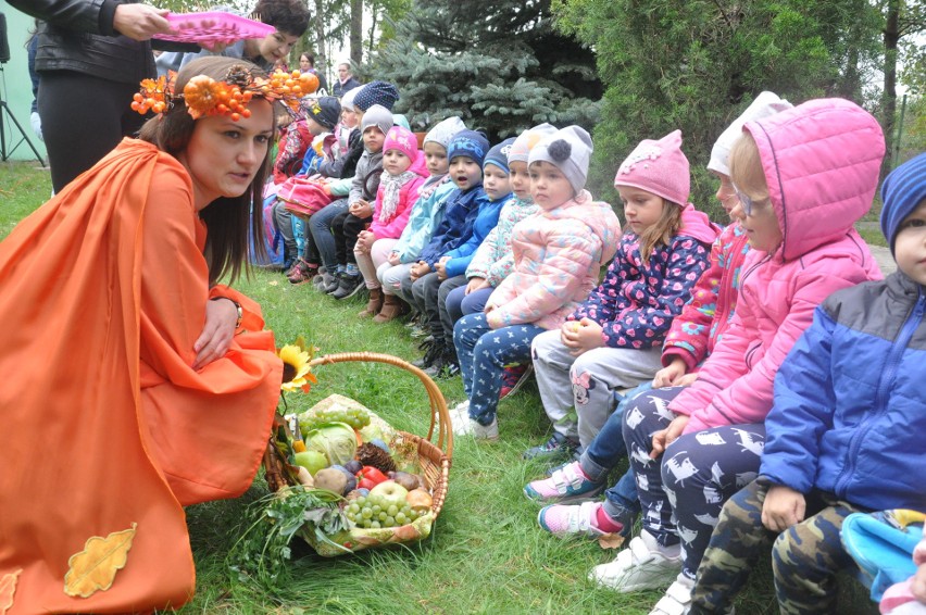 Święto Pieczonego Ziemniaka z przedszkolakami w Połańcu [ZDJĘCIA]