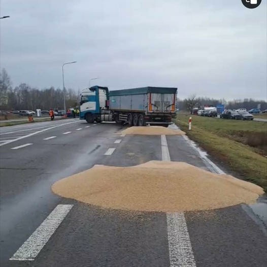 Dorohusk. Protestujący rolnicy zatrzymali trzy ukraińskie ciężarówki i wysypali zboże na jezdnię 