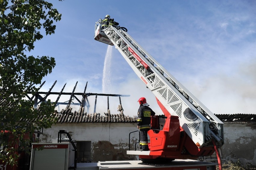 Leszno: Pożar świniarni w Kłodzie. Na miejscu pracuje dziewięć jednostek