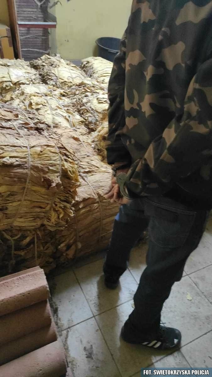Kazimierscy kryminalni przejęli ponad pół tony tytoniu bez akcyzy