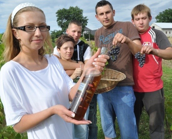 Zbiór winogron zaczął się przed tygodniem i potrwa do jesieni.