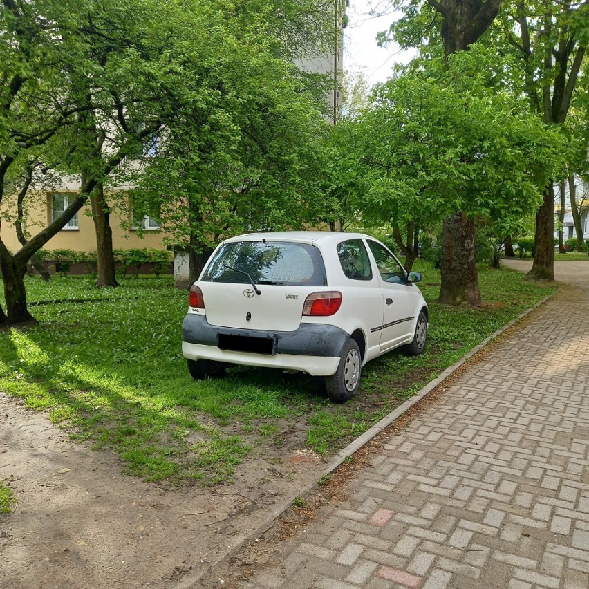 Na trawniku pomiędzy blokami na ulicy Nowy Świat 7, a...