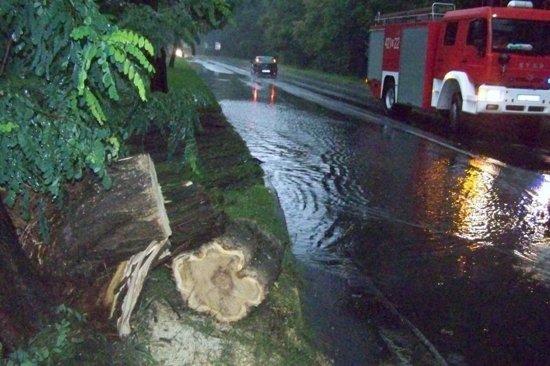 Powalone drzewa, podtopione domy - to efekt nawalnicy, która...