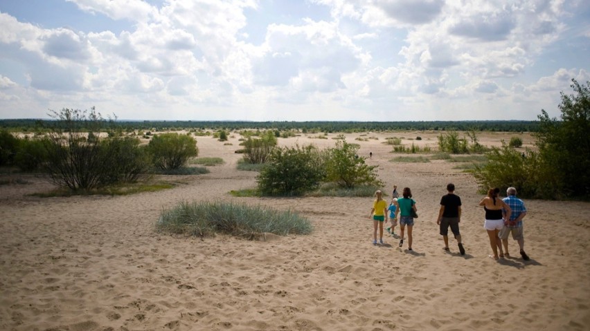 W Polsce znajduje się 5 niezwykłych obszarów pustynnych, na...