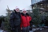 Wielka sprzedaż świątecznych drzewek! Ile kosztują choinki w Poznaniu? 