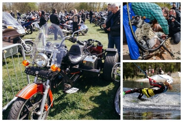 Leśny Park Kultury i Wypoczynku "Myślęcinek" w Bydgoszczy zaprasza na majówkę i nie tylko. Zobaczcie jakie atrakcje przygotowano w parku na najbliższe dni i miesiące.Zobacz:Sprawdzone sposoby na zdrowe potrawy z grilla. Jak oszukać zbędne kalorie? (źródło: Agencja TVN)