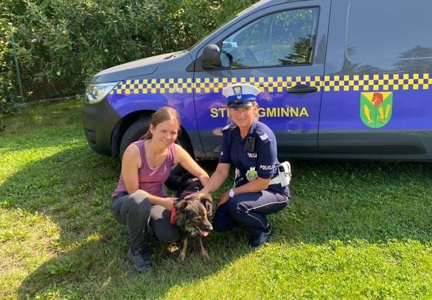 Policjantka odnalazła zaginionego psa. Yrsa cała i zdrowa...