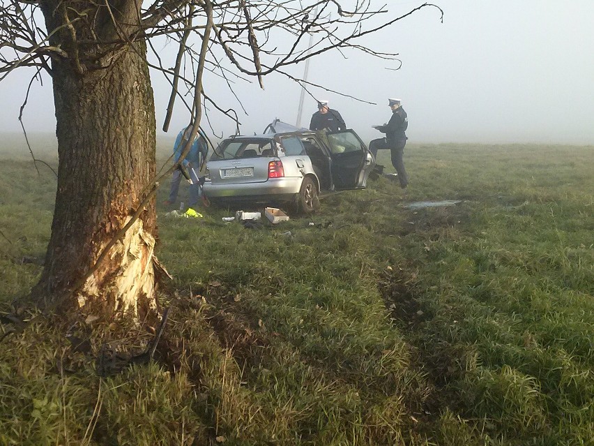 Śmiertelny wypadek w Łęczycy. Audi wypadło z drogi. Zginął 21-letni kierowca [ZDJĘCIA+FILM]