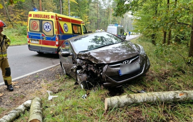 Do wypadku doszło na trasie pomiędzy Kolonowskiem a Zawadzkiem.