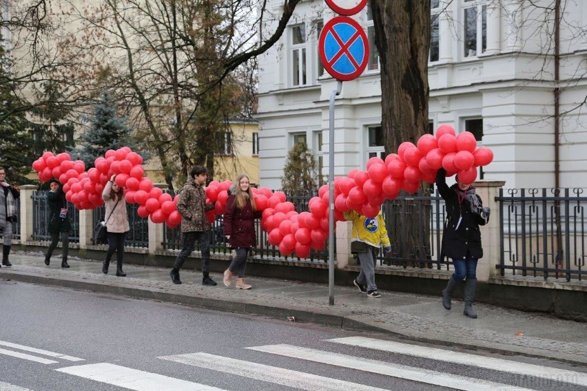 WOŚP 2019 Opole. W tym roku 350 wolontariuszy zbiera...