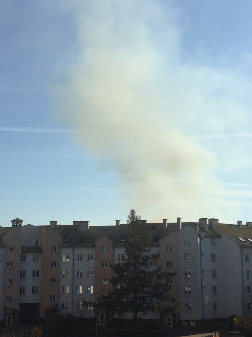 Pożar domu przy ul. Boboli w Białymstoku. Dwie osoby zostały...