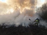 Strażacy z Krasocina mają ręce pełne roboty. Płoną lasy i trawy. W sobotę wyjechali na kolejną akcję (ZDJĘCIA)