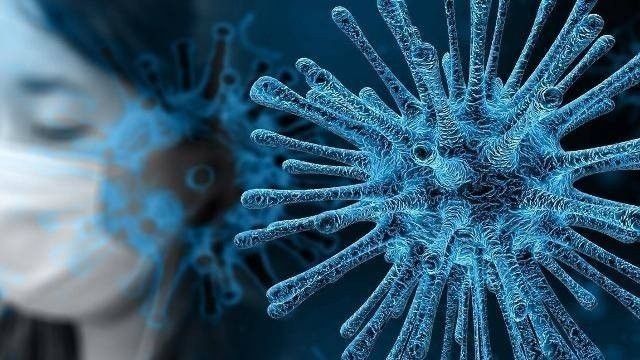 W niedzielę, 14 listopada, Ministerstwo Zdrowia poinformowało, że w ciągu ostatniej doby w regionie radomskim potwierdzono 393 nowych zakażeń wirusem SARS-CoV-2. 