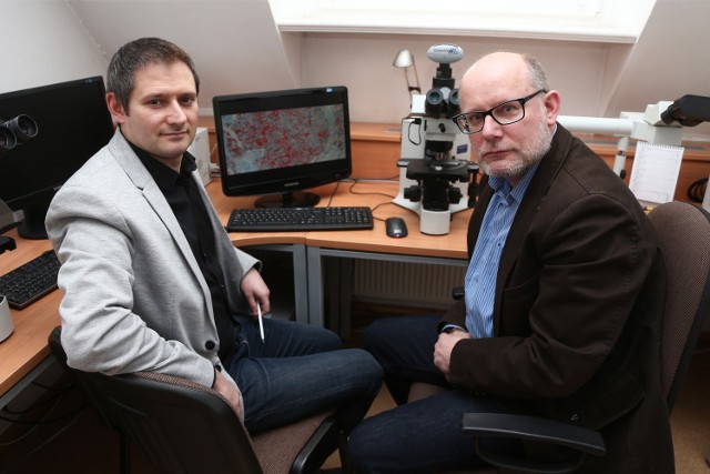 Informatyk dr Martin Tabakow z Politechniki Wrocławskiej (po lewej) i profesor medycynyPiotr Dzięgiel z Uniwersytetu Medycznego pracują nad nowoczesną metodą diagnozy raka piersi