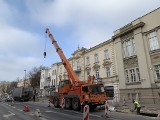 Na Krakowskim Przedmieściu w Lublinie sadzą lipy. Miejsce parkingów zajmie zieleń