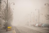 Uwaga na gęste mgły na świętokrzyskich drogach. Synoptycy ostrzegają - w tych godzinach będzie najgorzej