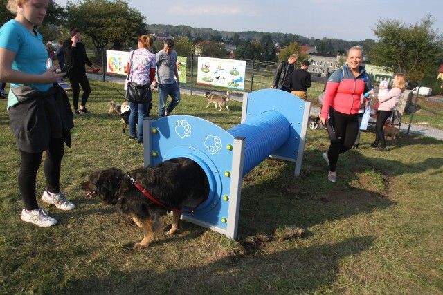 Park Psiej Aktywności w Będzinie