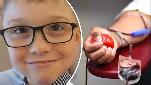 8-letni Ignaś będzie potrzebował krwi przez wielomiesięczny okres leczenia.