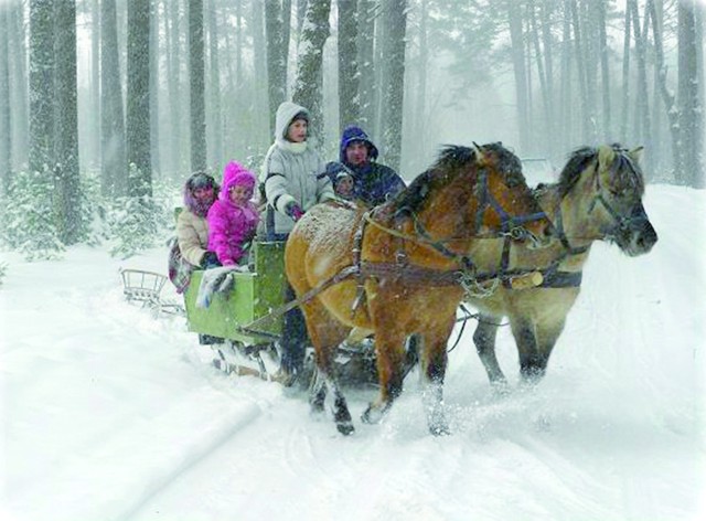 Niezapomniany kulig to jedna z atrakcji oferowanych przez hotele i pensjonaty, które przystąpiły do akcji „Mazury za pół ceny”. Na taką przejażdżkę mogą liczyć m.in. goście Pensjonatu Kozioł na skraju Puszczy Piskiej.