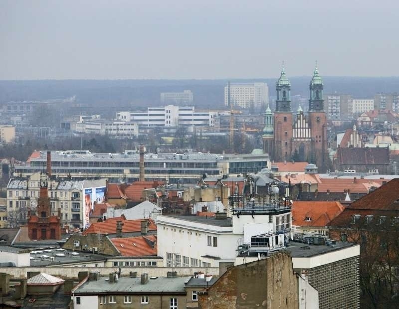 Panorama ze szczytu Okrąglaka