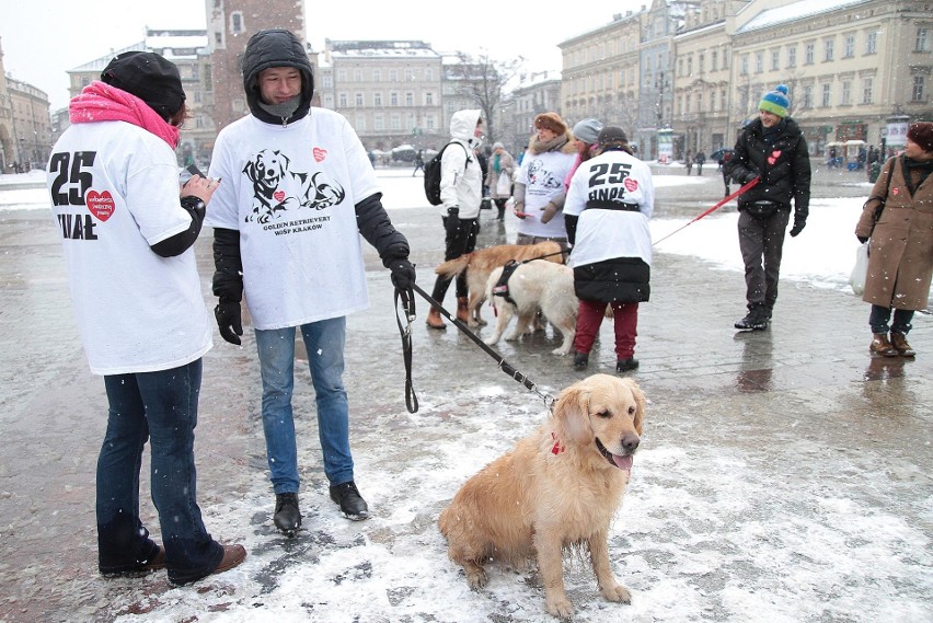 Wolontariusze WOŚP na ulicach Krakowa [ZDJĘCIA]