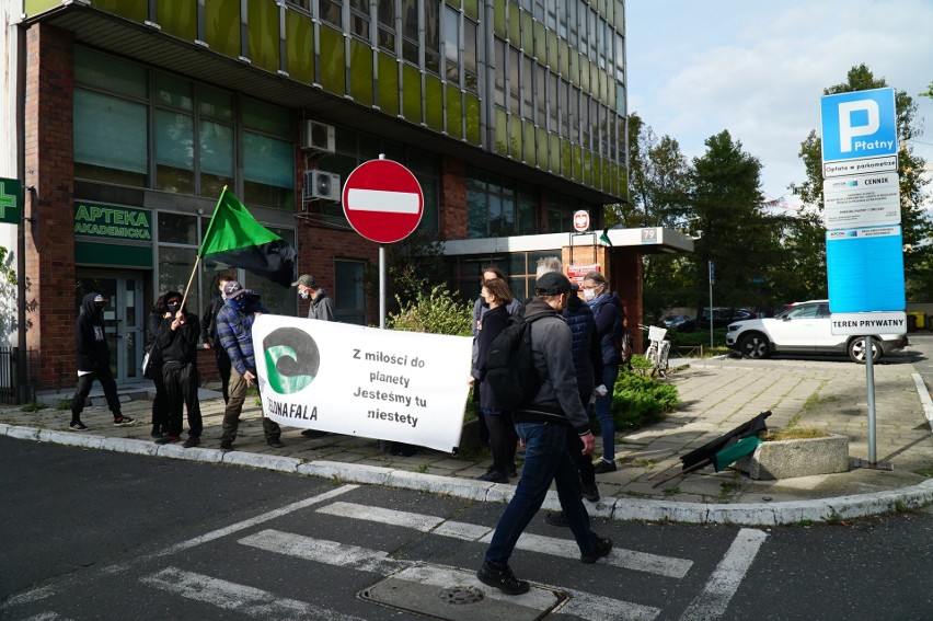 Protest w obronie drzew. Poznaniacy chcą ochronić ścianę...