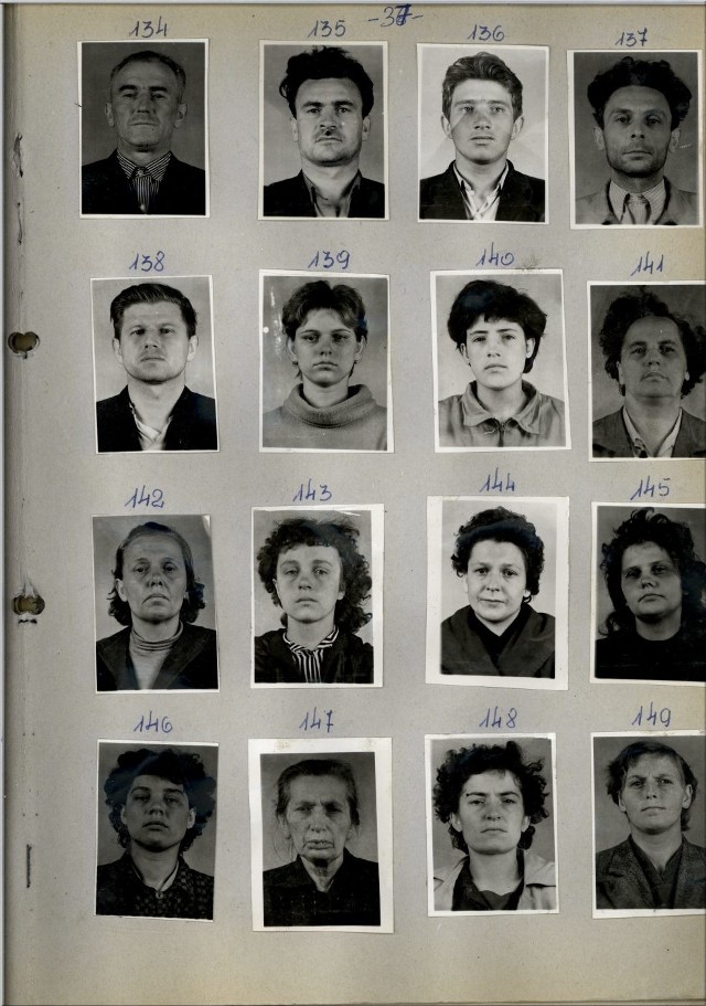 5.000 - tylu zielonogórzan uczestniczyło w proteście 30 maja 1960 r. Tak dziś twierdzą historycy. Szef SB płk. Galczewski w swoim raporcie z 1962 r. pisze o 2 tys. aktywnych uczestników zajść i biernym tłumie liczącym kilka tysięcy.333 - tyle osób zatrzymano i aresztowano, od 30 maja do 1 czerwca 196 - trafiło do sądów 186 - skazano na kary od 2 miesięcy do 5 lat (dwie osoby) 48 - skierowano do kolegium orzekającego 89 - zwolniono z aresztu z braku dowodów winy