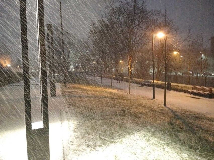 Sypnęło śniegiem we Wrocławiu. Momentalnie zrobiło się biało (ZDJĘCIA)