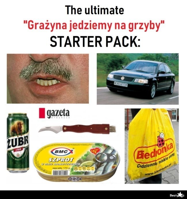 MEMY o grzybiarzach! Grzybobranie na wesoło.