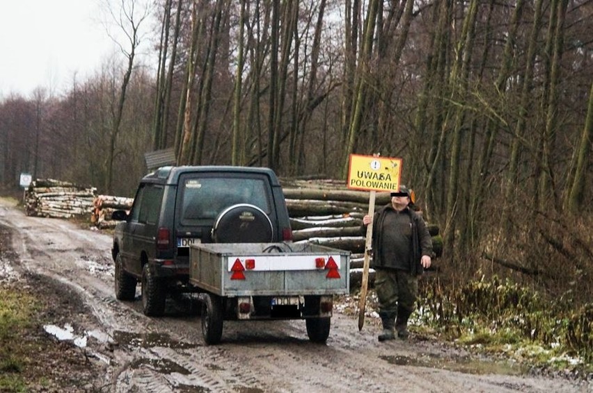 Pod Wrocławiem myśliwi nie postrzelali do dzików. Przyjechała policja (ZDJĘCIA)