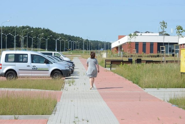 Na terenie Parku Naukowo-Technologicznego powstanie m.in. biogazownia, farma fotowoltaiczna, a także stacja hodowli alg.