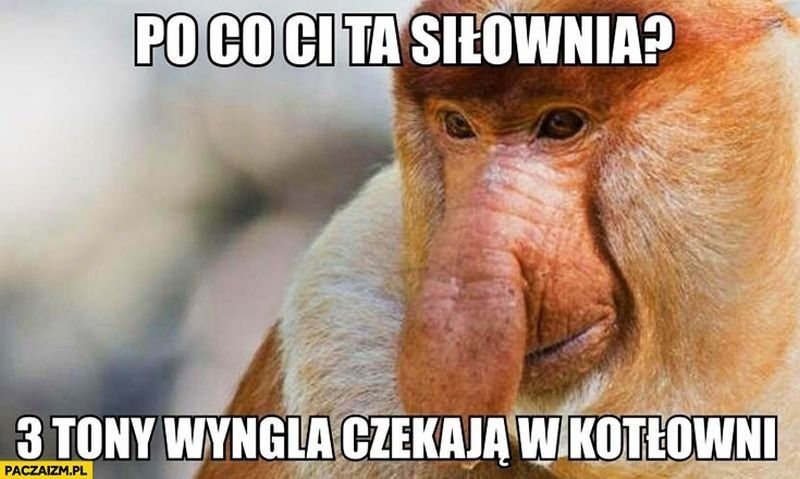 Memy dotyczące wad Polaków ewoluują w szybkim tempie....