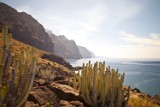 Wyspy Kanaryjskie: Teneryfa, Lanzarote, La Palma, Fuerteventura i Gran Canaria. Czym się różnią?