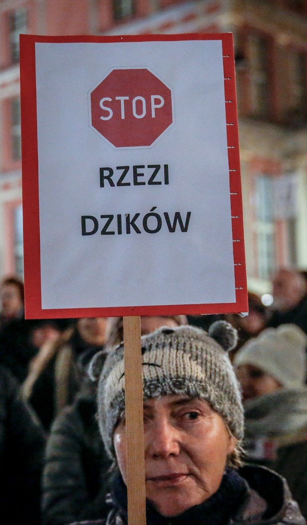 Gdański protest przeciwko masowemu odstrzałowi dzików,...