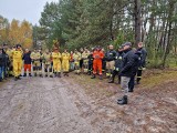 Tragiczny finał poszukiwań 87-letniej grzybiarki. Od piątku trwały poszukiwania starszej pani. Kobieta poszła do lasu i zaginęła