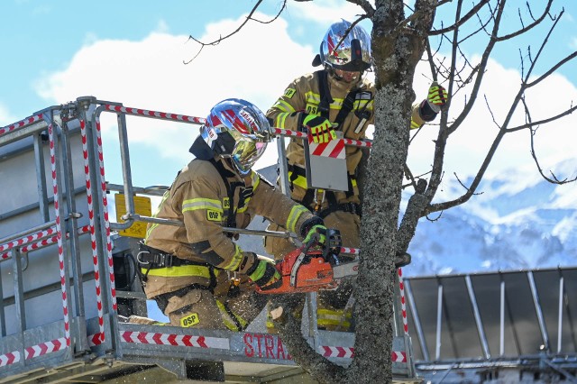 Strażacy usuwają drzewa stwarzające zagrożenie