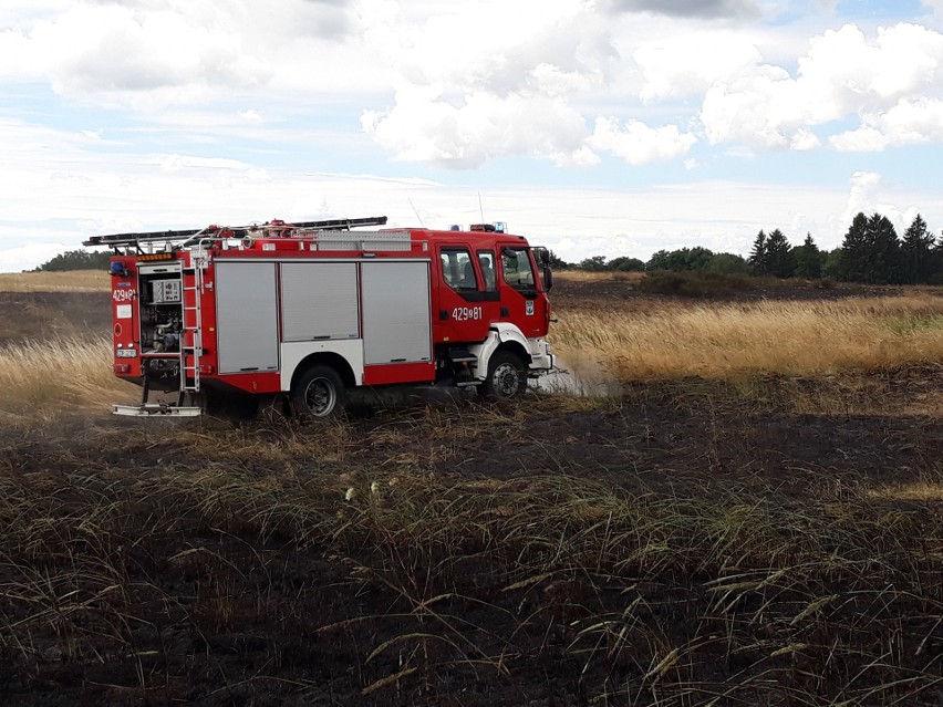 We wtorek w okolicach miejscowości Cieszyno doszło do pożaru...