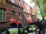 Pożar w Toruniu. Dwie osoby nie żyją, ranni zostali strażacy [zdjęcia]