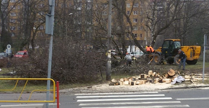 Sosnowiec: objazd i wycinka drzew na Starym Sosnowcu. To początek budowy ronda [ZDJĘCIA]