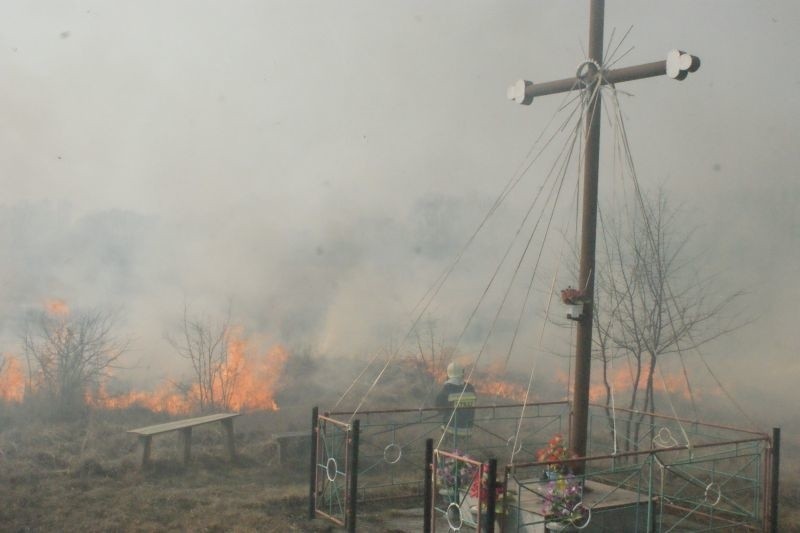 Pożar traw i trzcinowisk w Gocanowie 