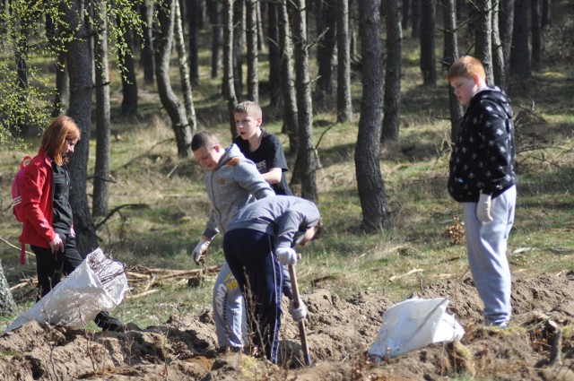 Akcja sadzenia drzew Kronodrzewko.