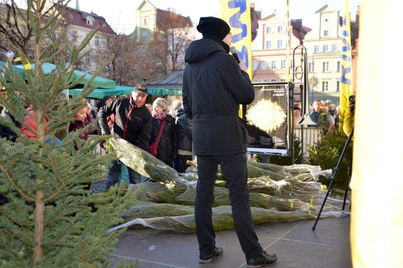 RMF FM rozdaje choinki we Wrocławiu. Na pl. Solnym tłumy