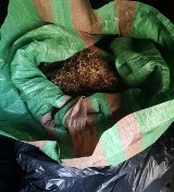 Powiat krakowski. 66-latek ukrywał w garażu ponad 120 kg nielegalnego tytoniu 