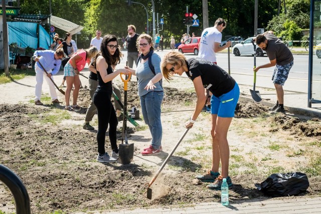 W Bydgoszczy powstaje pierwsza społeczna łąka kwietna. Wsp&oacute;lne sadzenie roślin odbyło się w sobotę, 29.06. Więcej zdjęć i informacji &gt;&gt;&gt;Rozpoczęła się największa inwestycja komunikacyjna w Bydoszczy. To rozbudowa ul. Kujawskiej. Co się zmieni? Zobacz:&lt;script class=&quot;XlinkEmbedScript&quot; data-width=&quot;640&quot; data-height=&quot;360&quot; data-url=&quot;//get.x-link.pl/4eb6540f-4cb1-f0b4-ff5b-7a86809c0ad7,50671ad5-fcc4-4d7b-fe70-5e93d1c45998,embed.html&quot; type=&quot;application/javascript&quot; src=&quot;//prodxnews1blob.blob.core.windows.net/cdn/js/xlink-i.js?v1&quot;&gt;&lt;/script&gt;