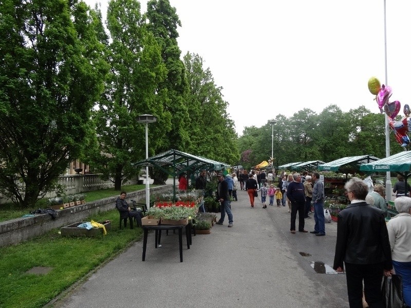 Przed poznańską Palmiarnią odbywa się kiermasz ogrodniczy
