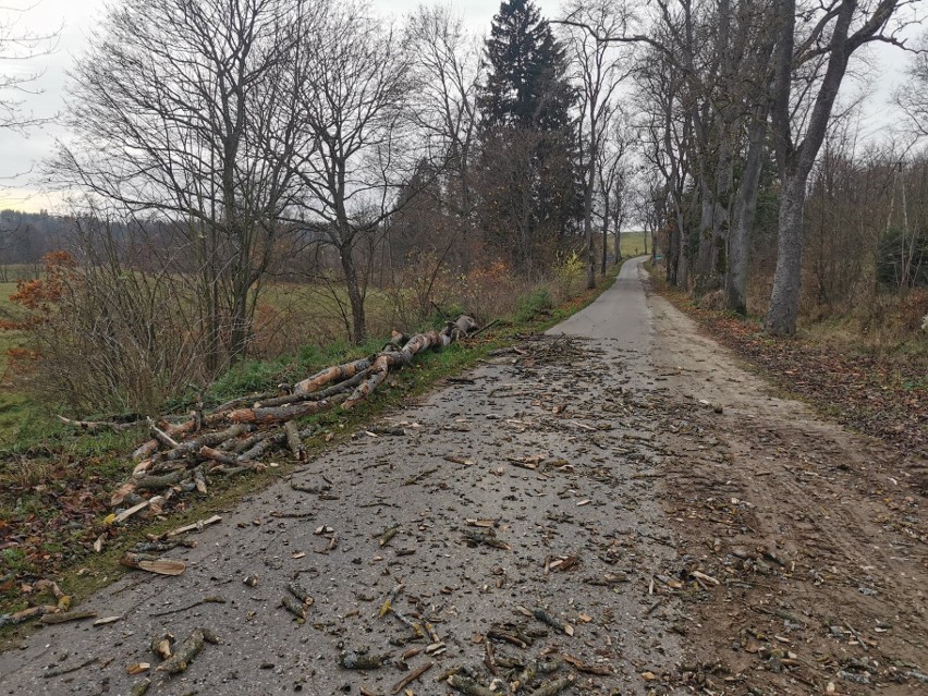 Wiatr łamie drzewa w gminie Połczyn-Zdrój